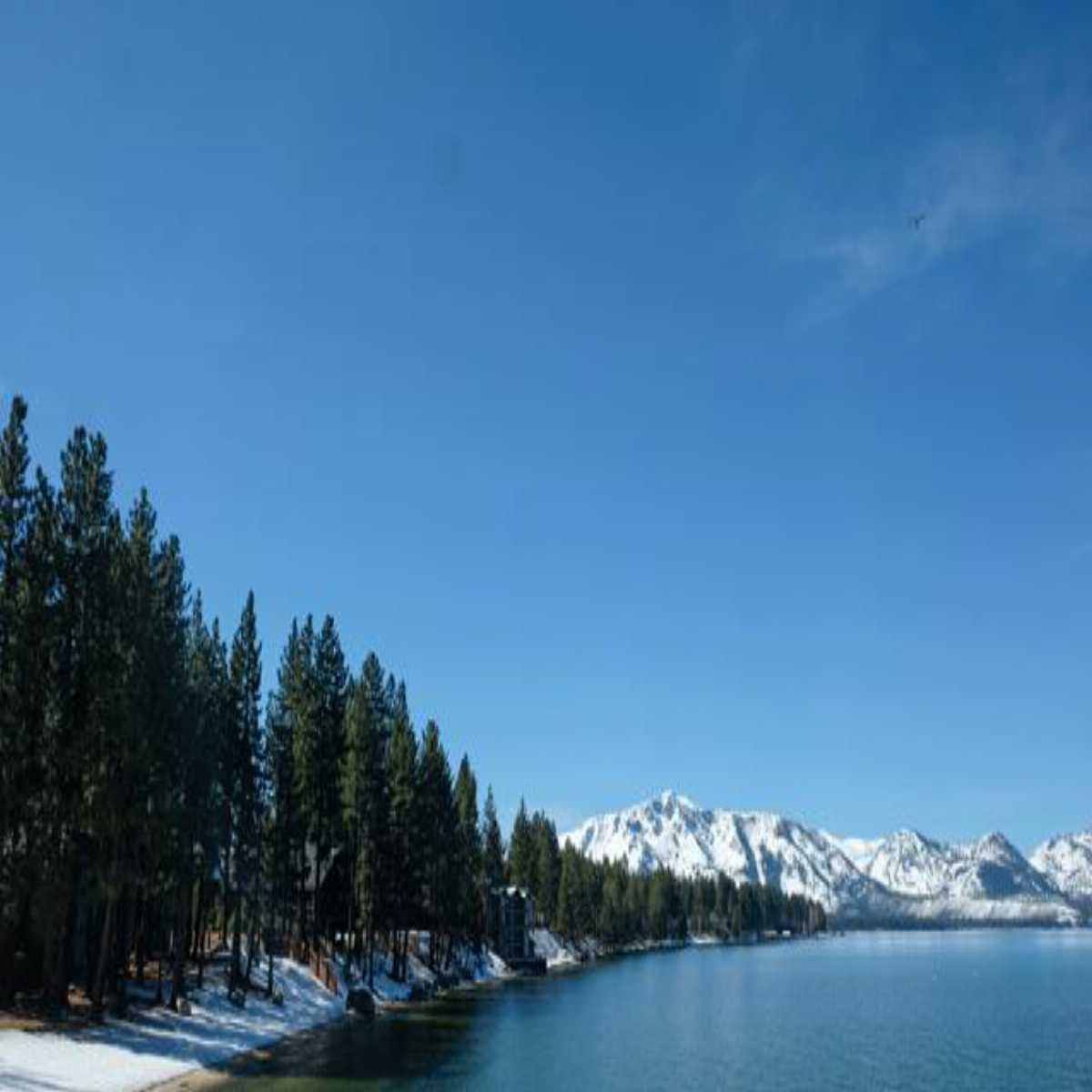 South Lake Tahoe webcam