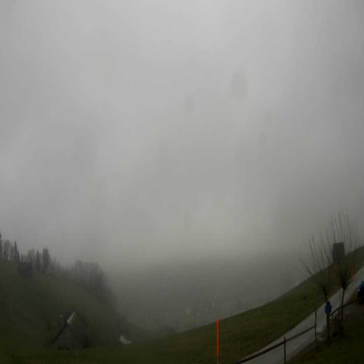 Stadtprozelten webcam