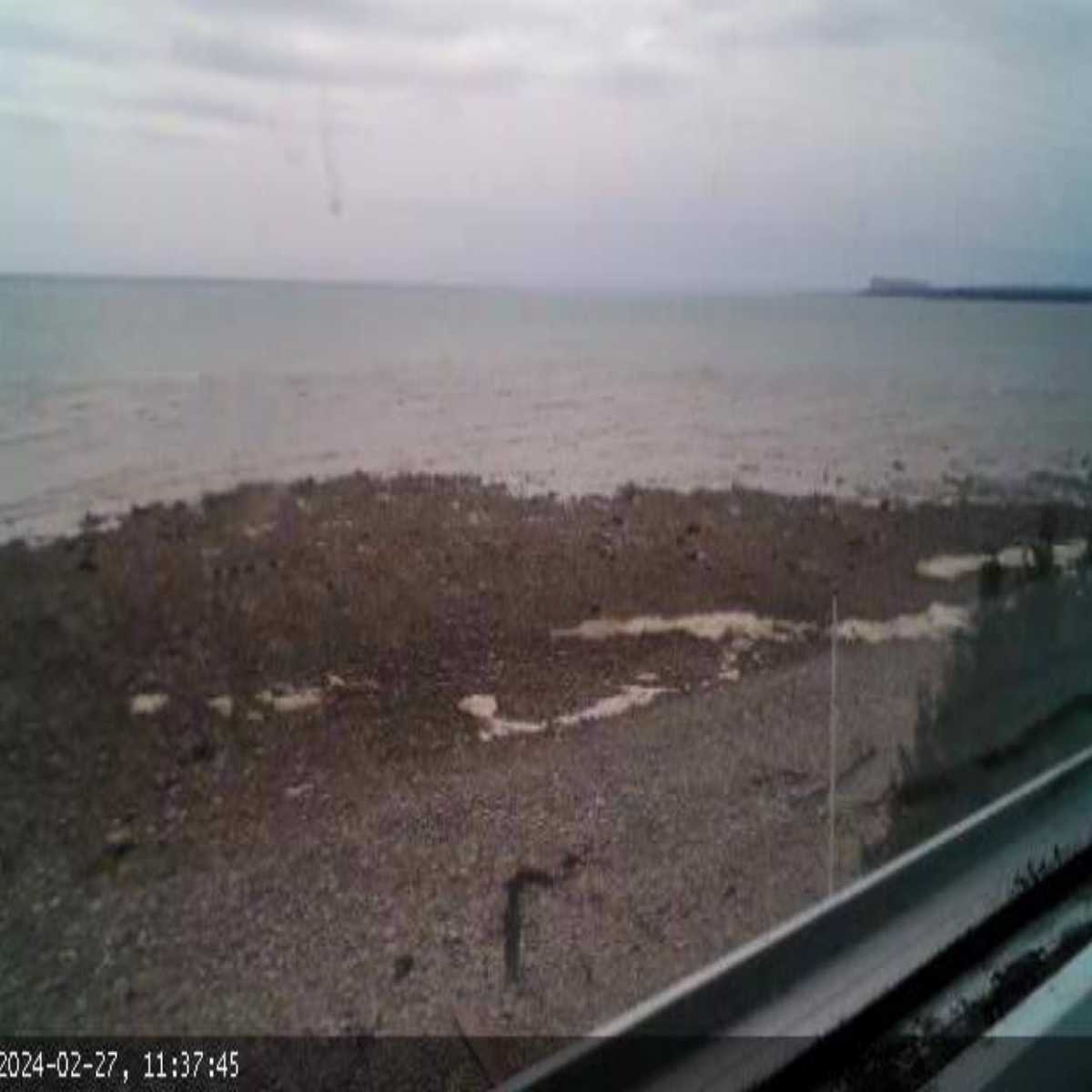 Kingston webcam
