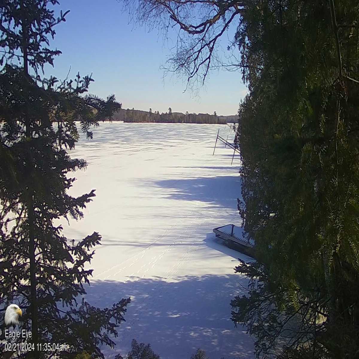 Bemidji webcam