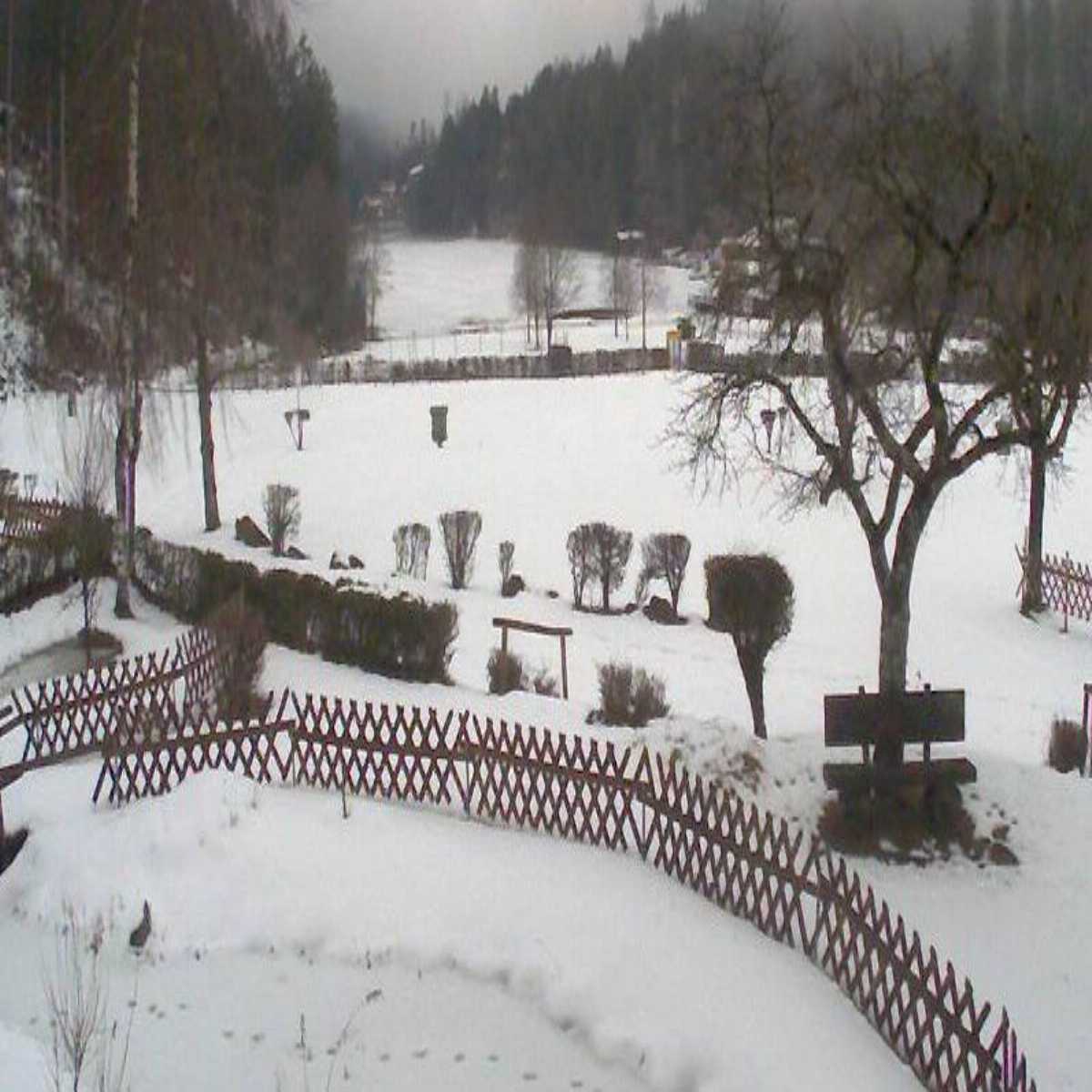 Schwaz webcam