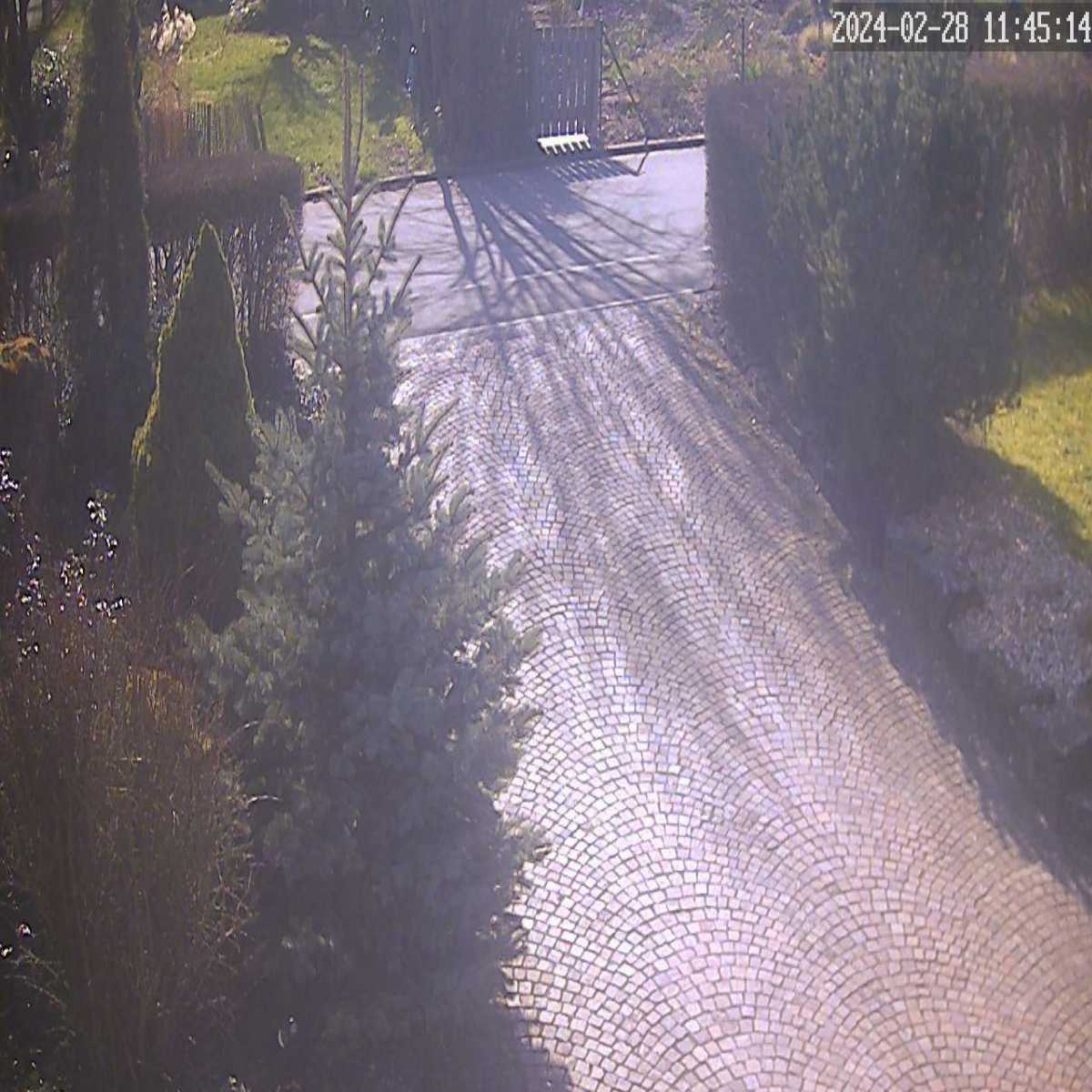 Baierbrunn webcam