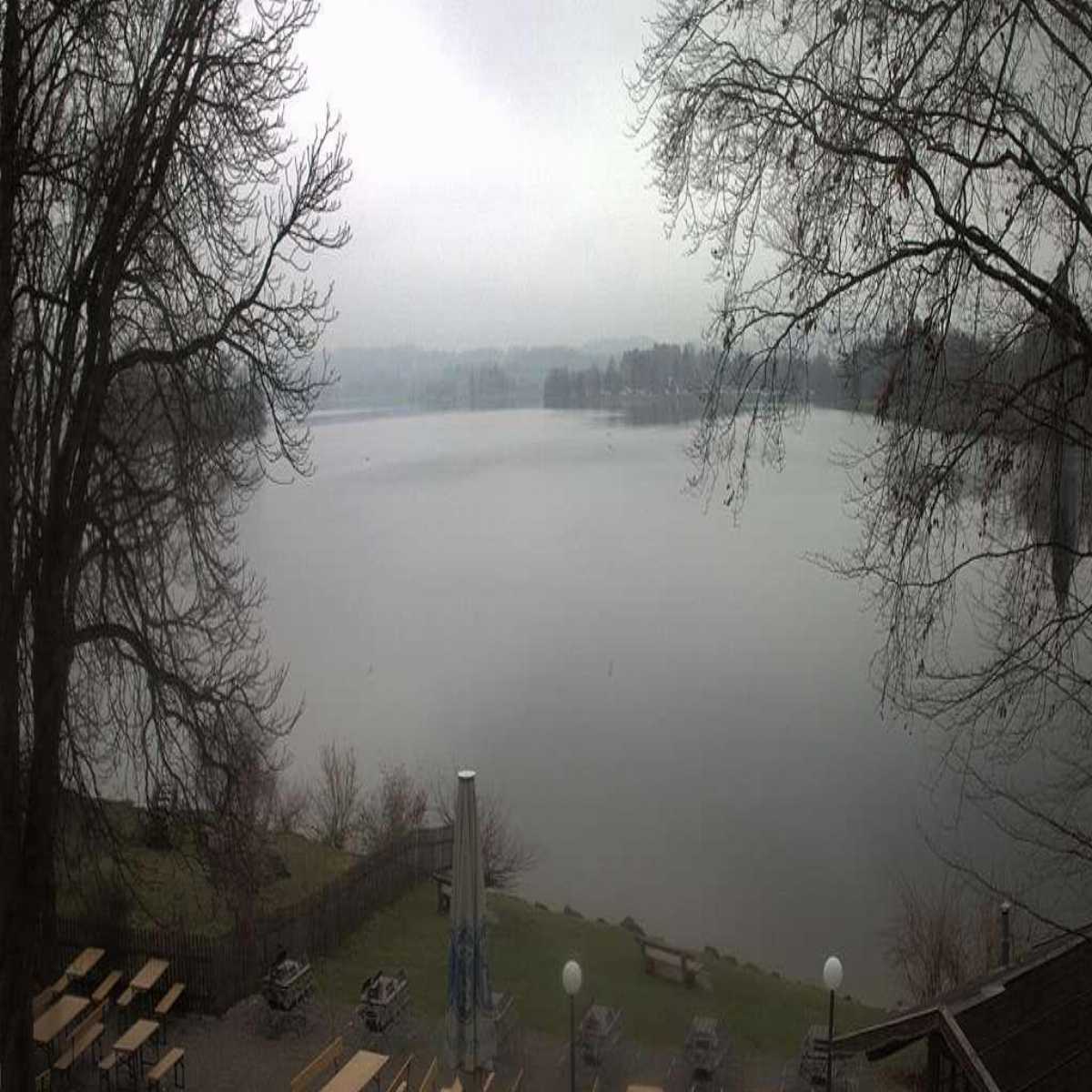 Baierbrunn webcam
