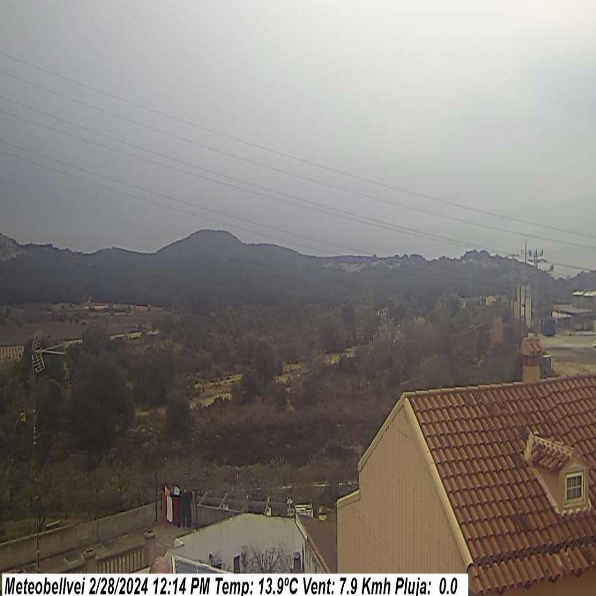 Moia webcam