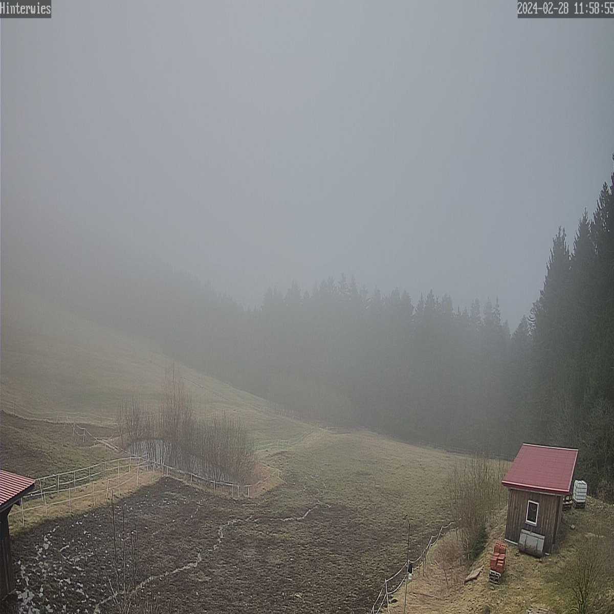 Baierbrunn webcam