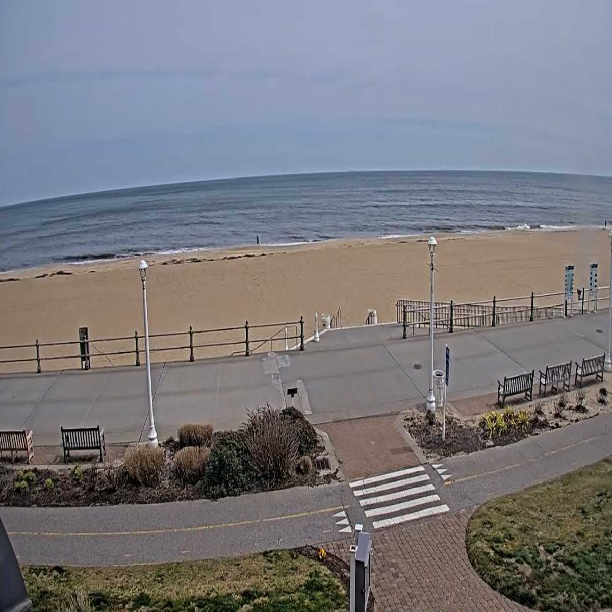 Chesapeake webcam