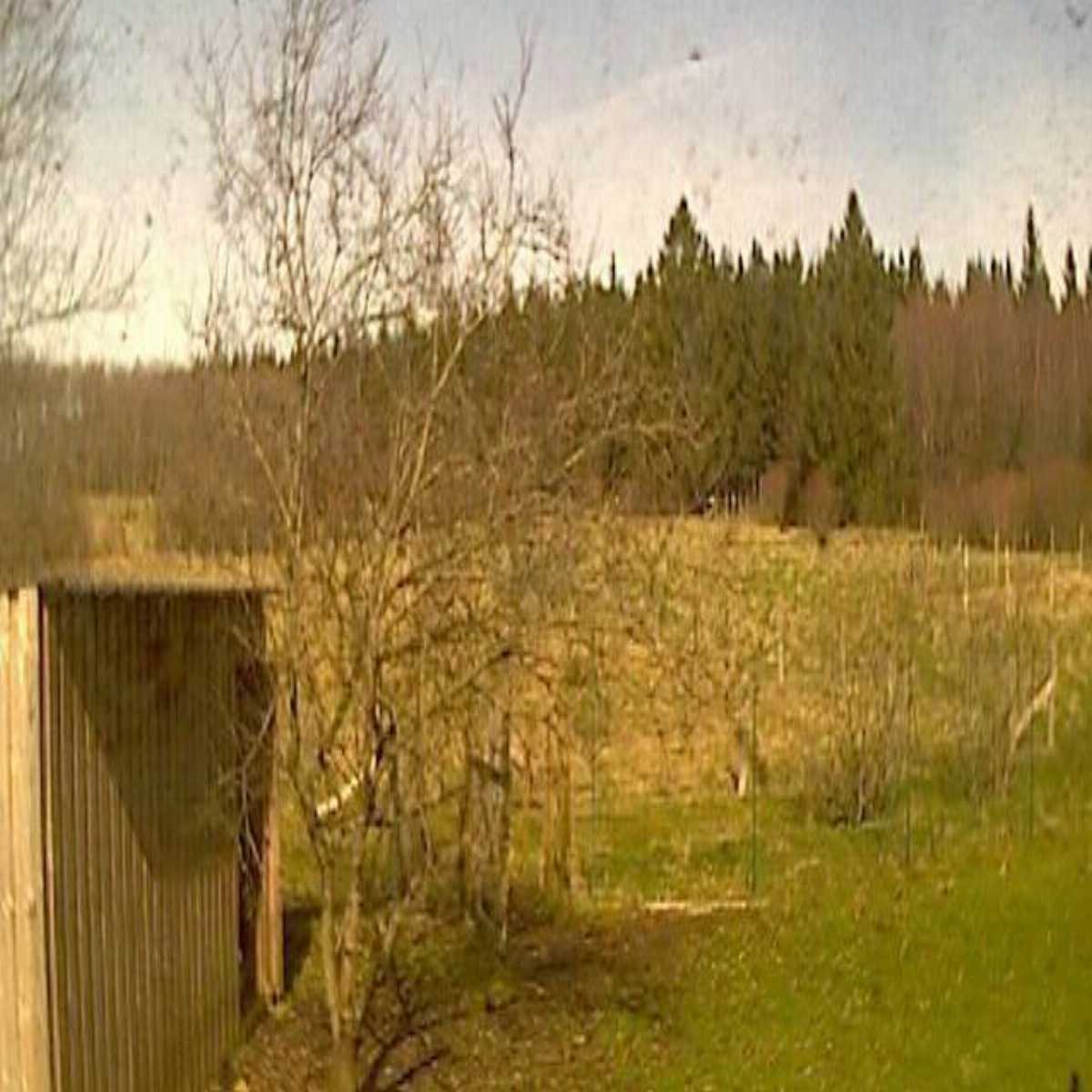 Chastre webcam