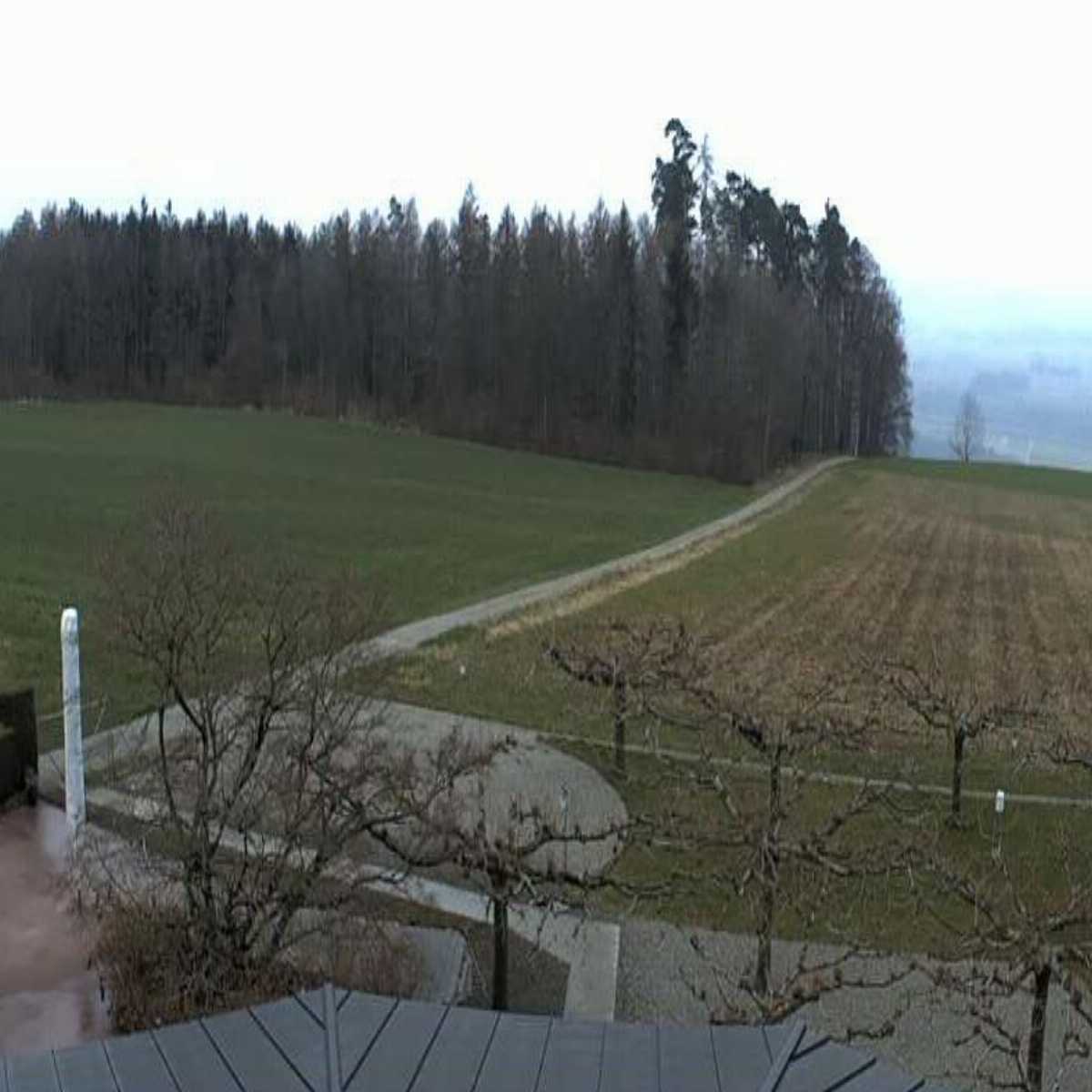Weinfelden webcam