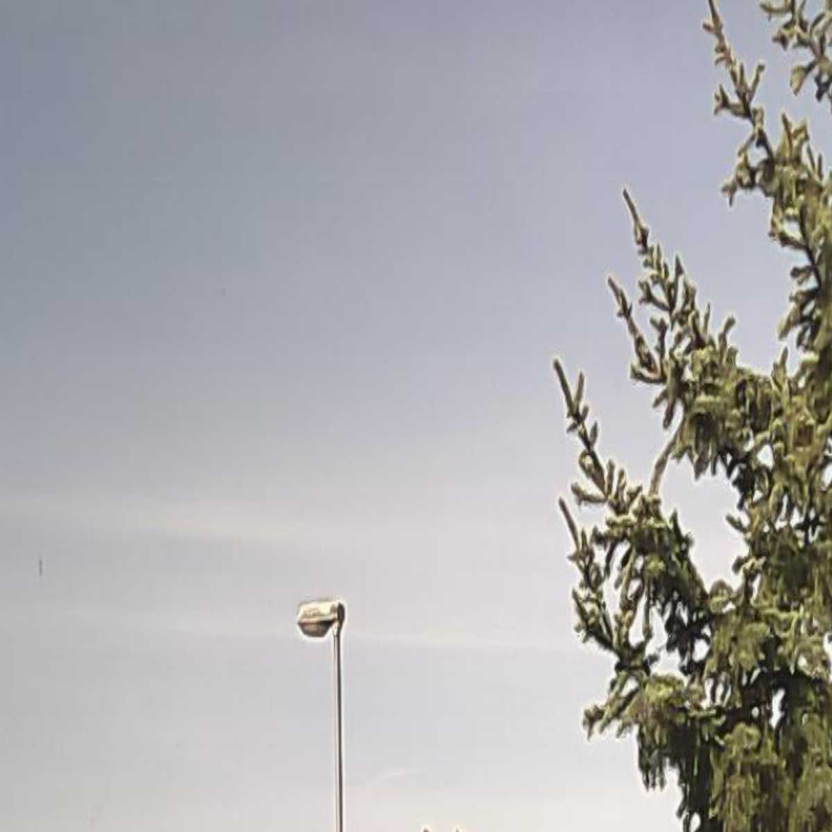 Bernhardsthal webcam