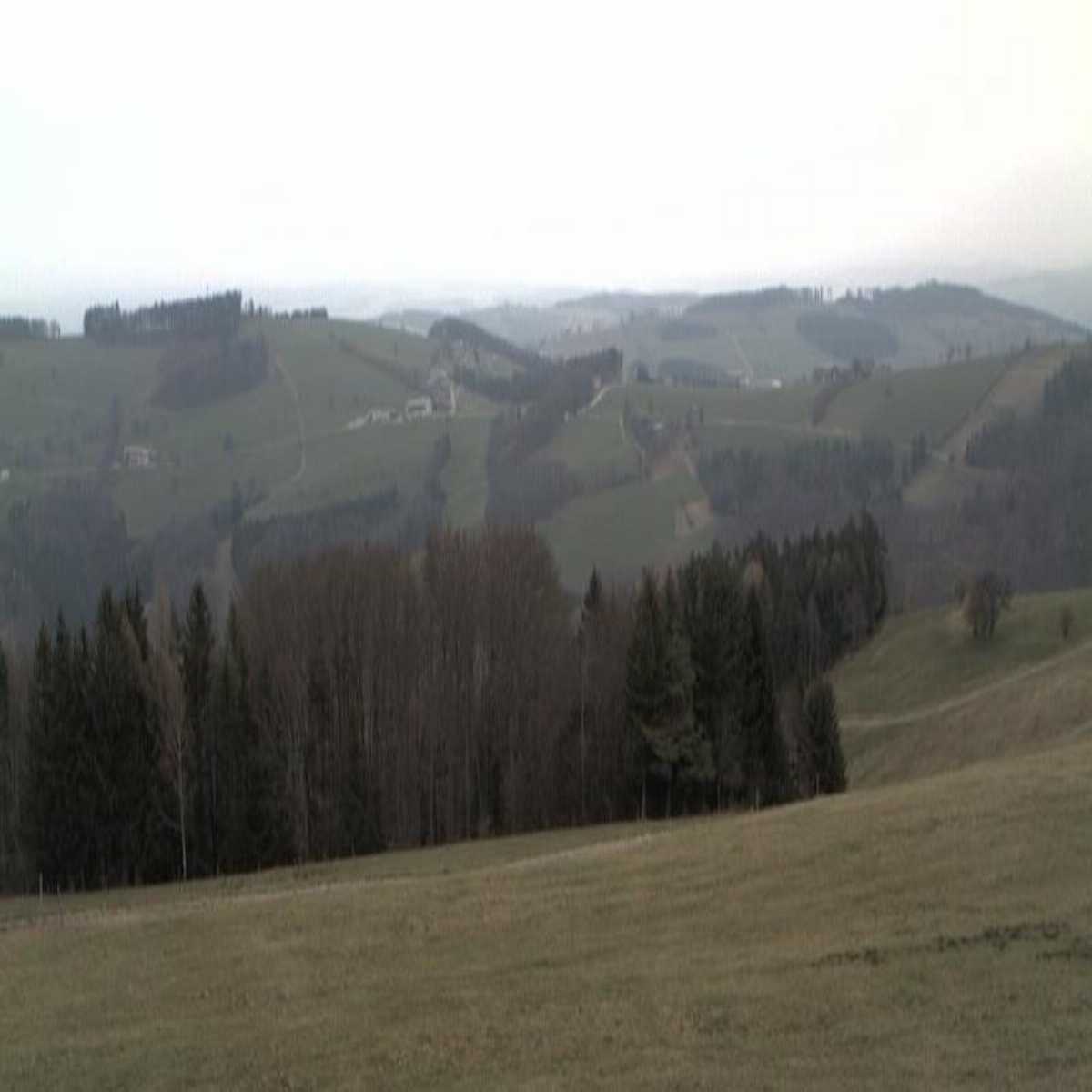 Barnkopf webcam