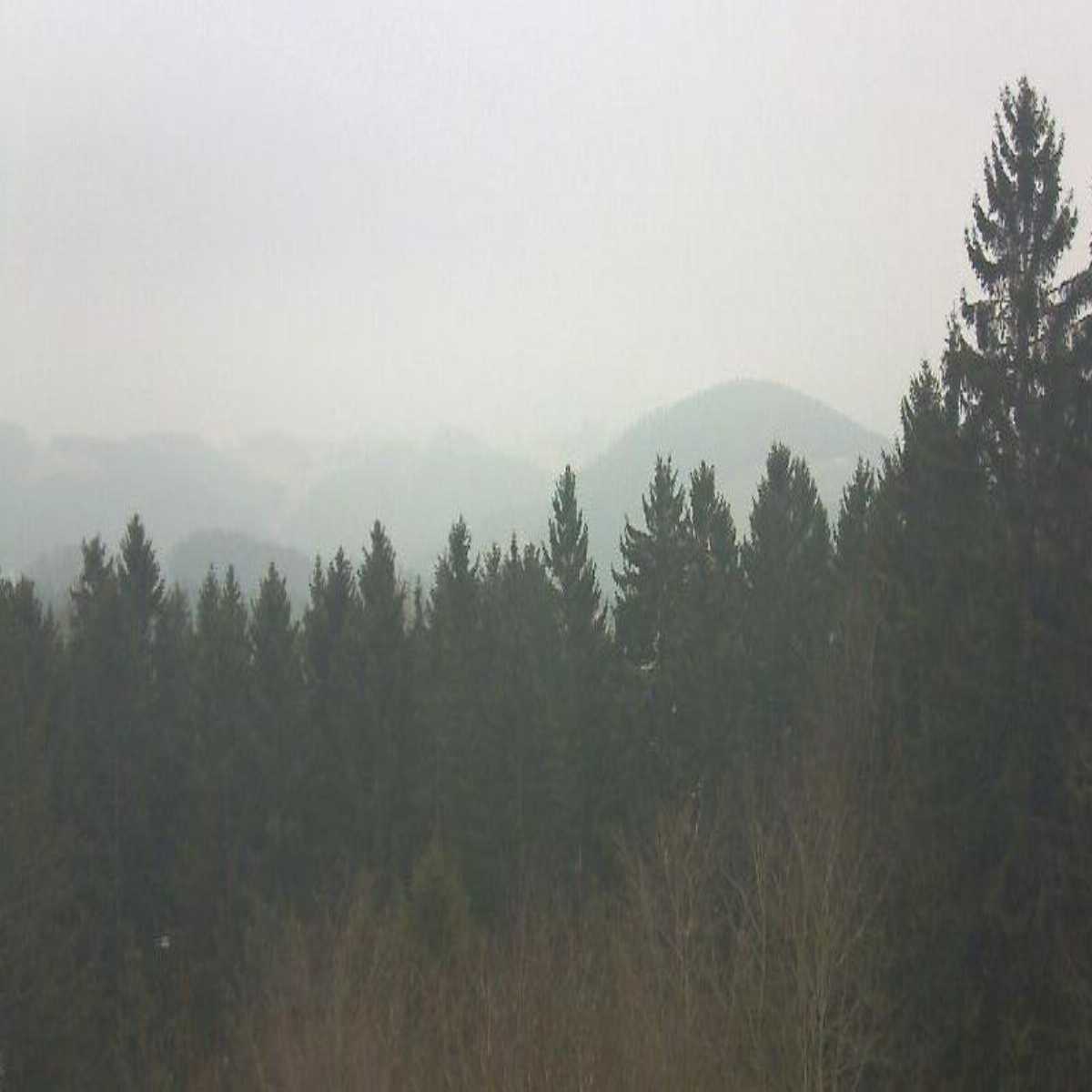 Aigen Im Muhlkreis webcam