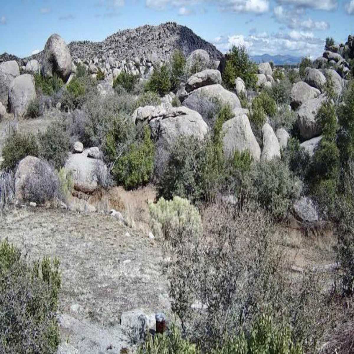 Lake Havasu City webcam