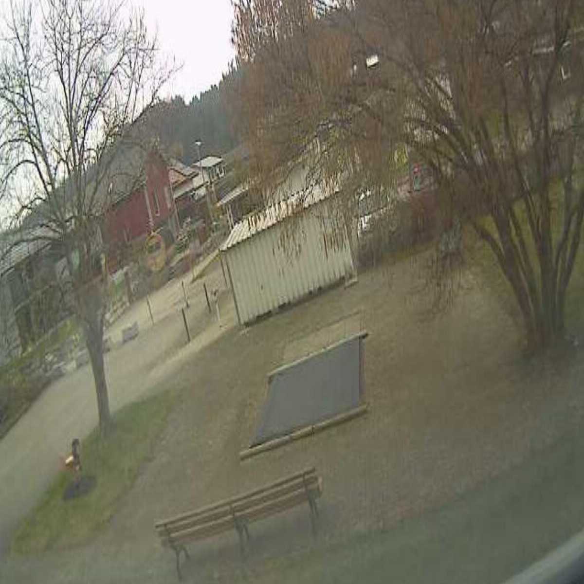 Valbirse webcam