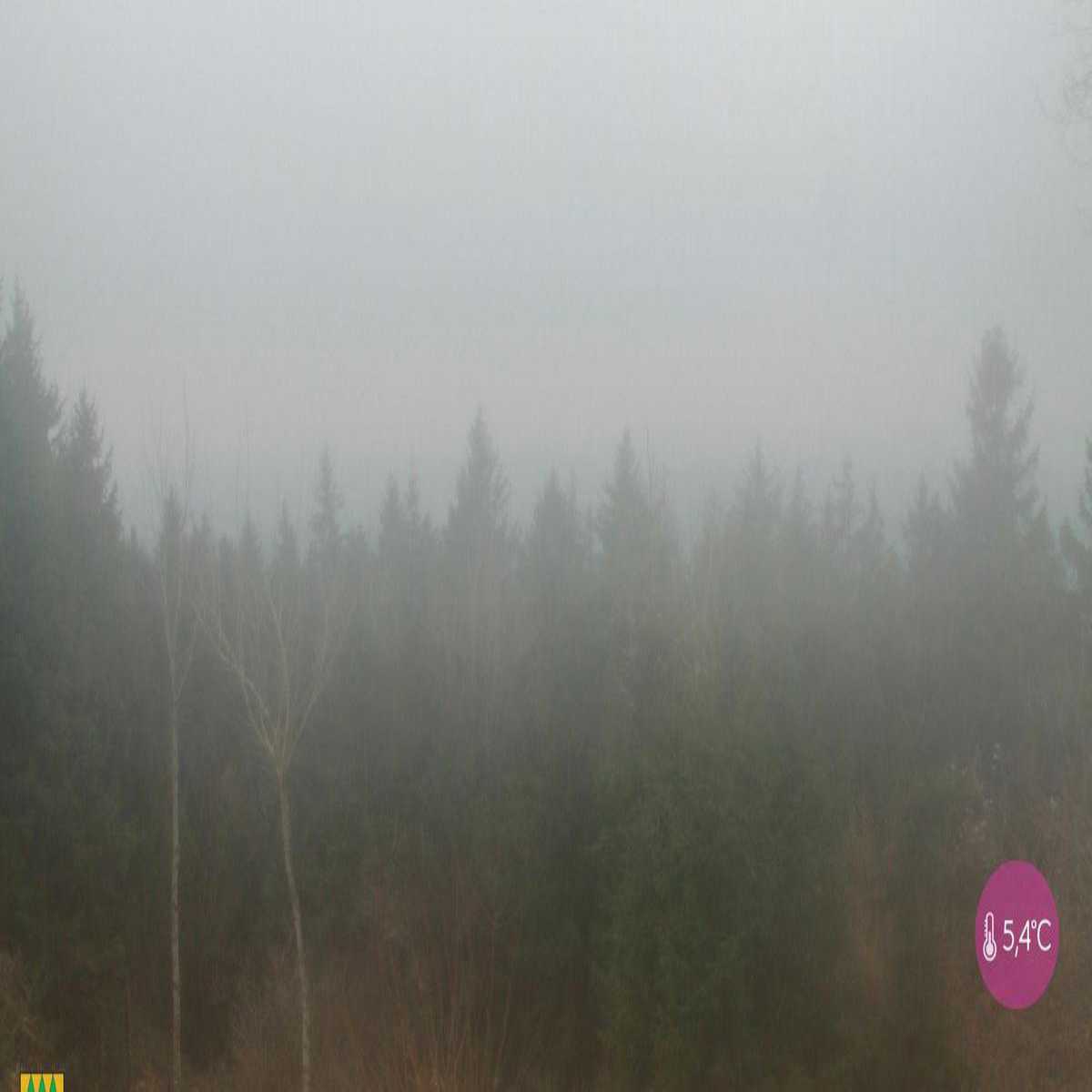 Aigen Im Muhlkreis webcam