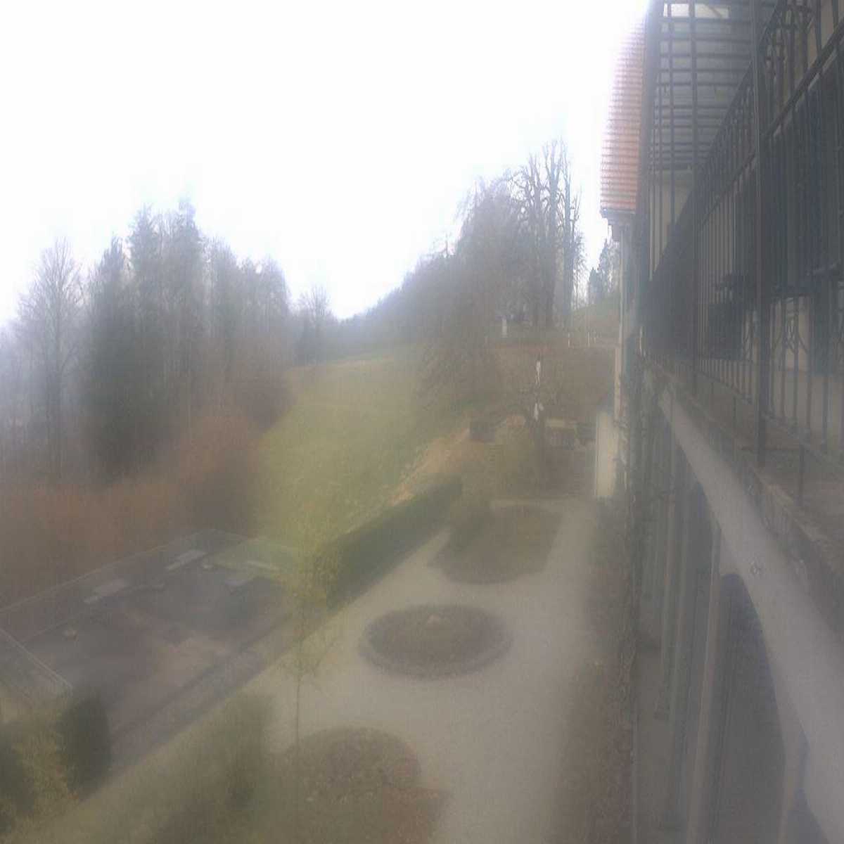 Uster webcam