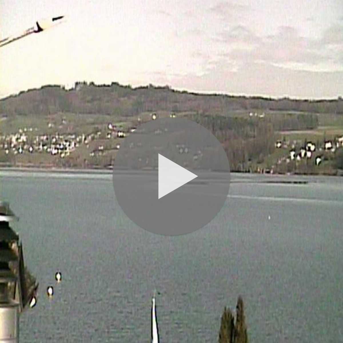 Switzerland webcam