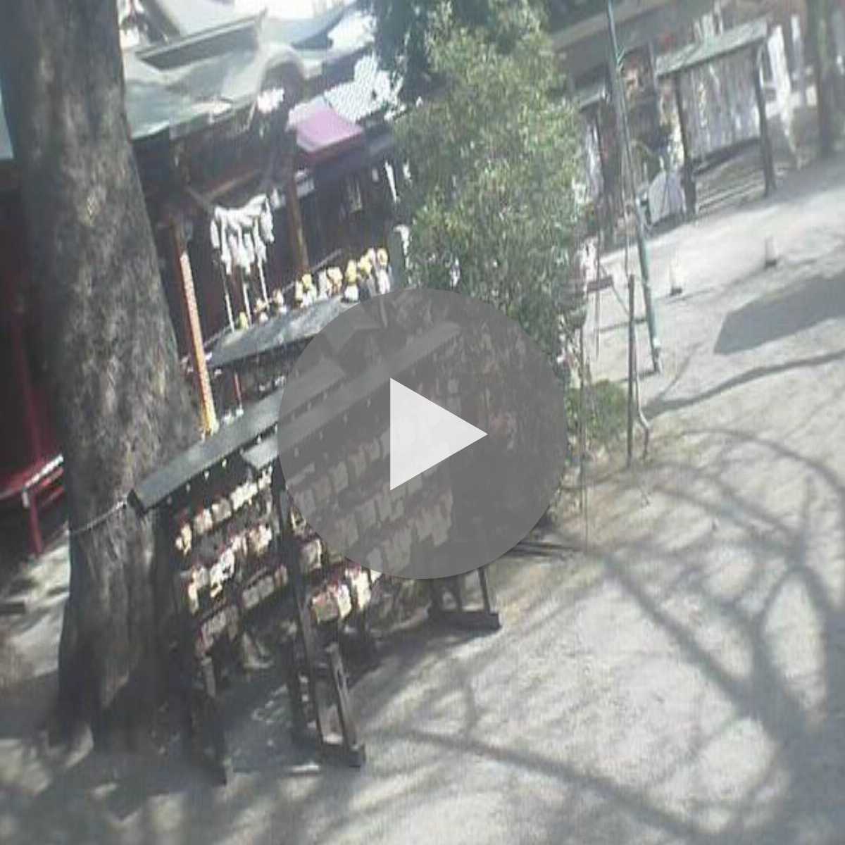 Gunma Prefecture webcam