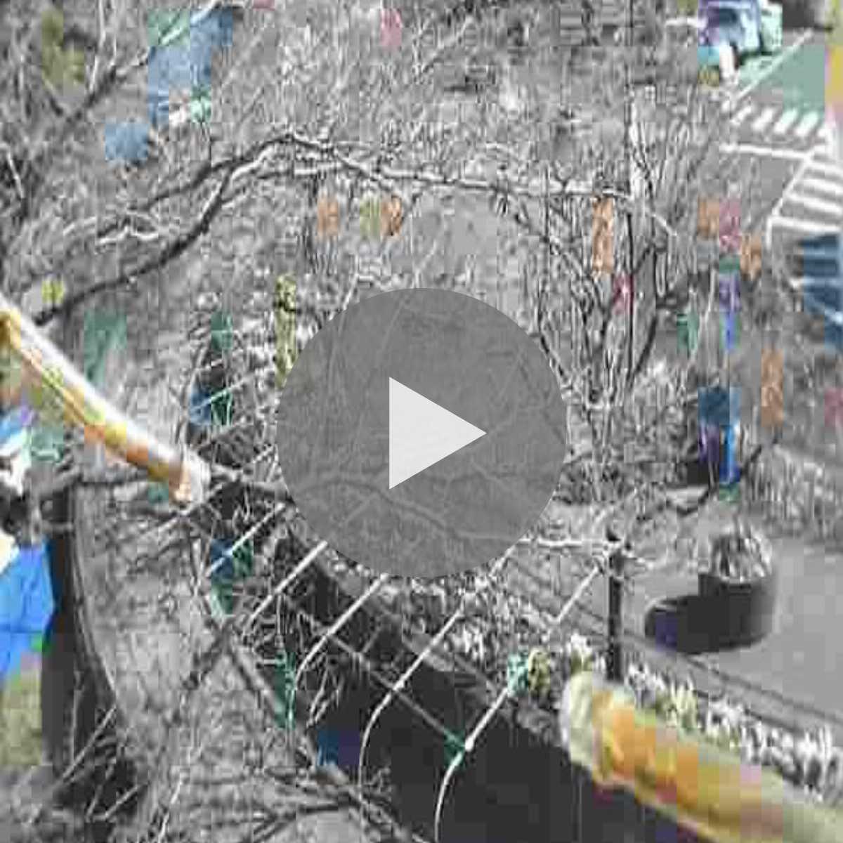 Kanagawa Prefecture webcam