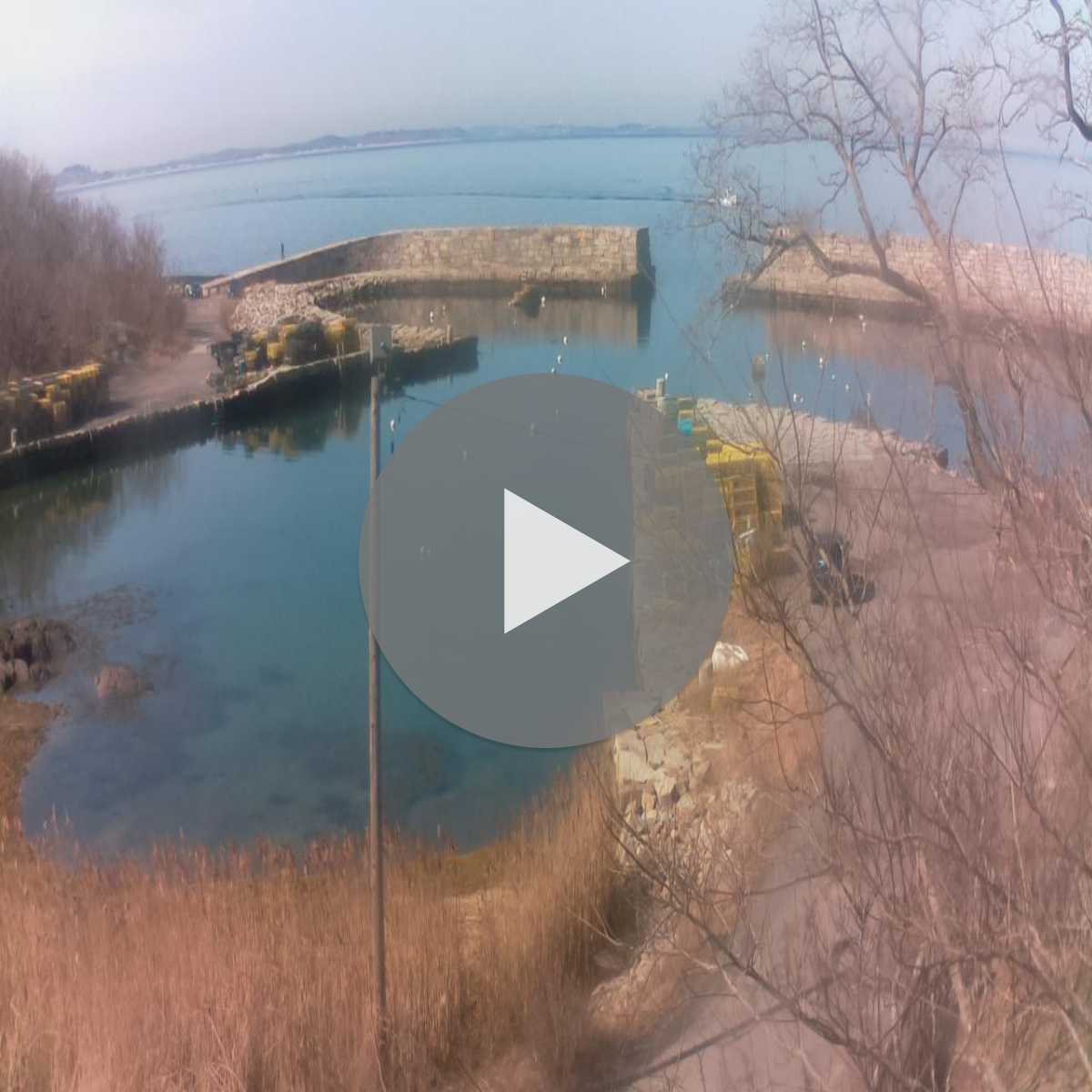 Massachusetts webcam