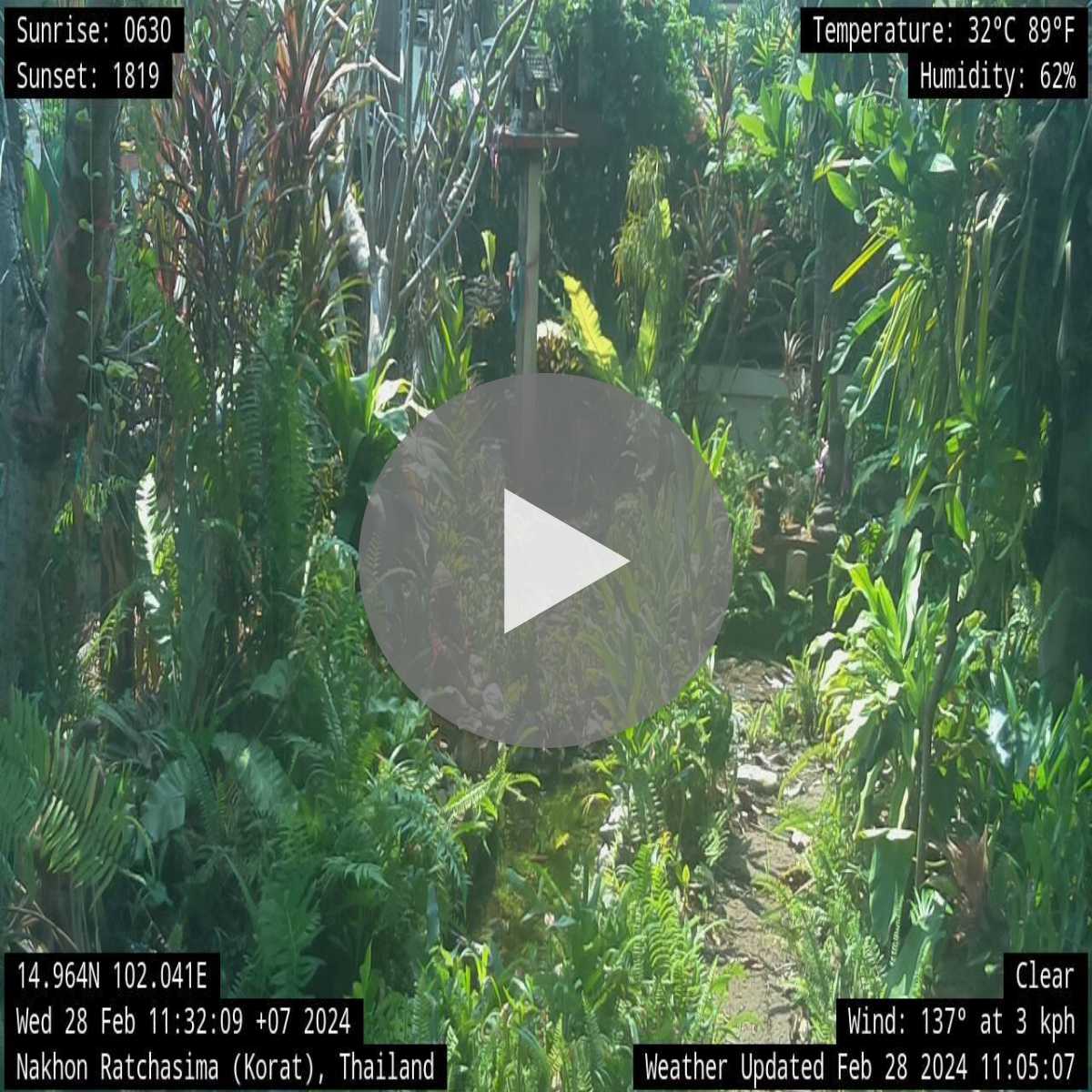 Nakhon Ratchasima Province webcam