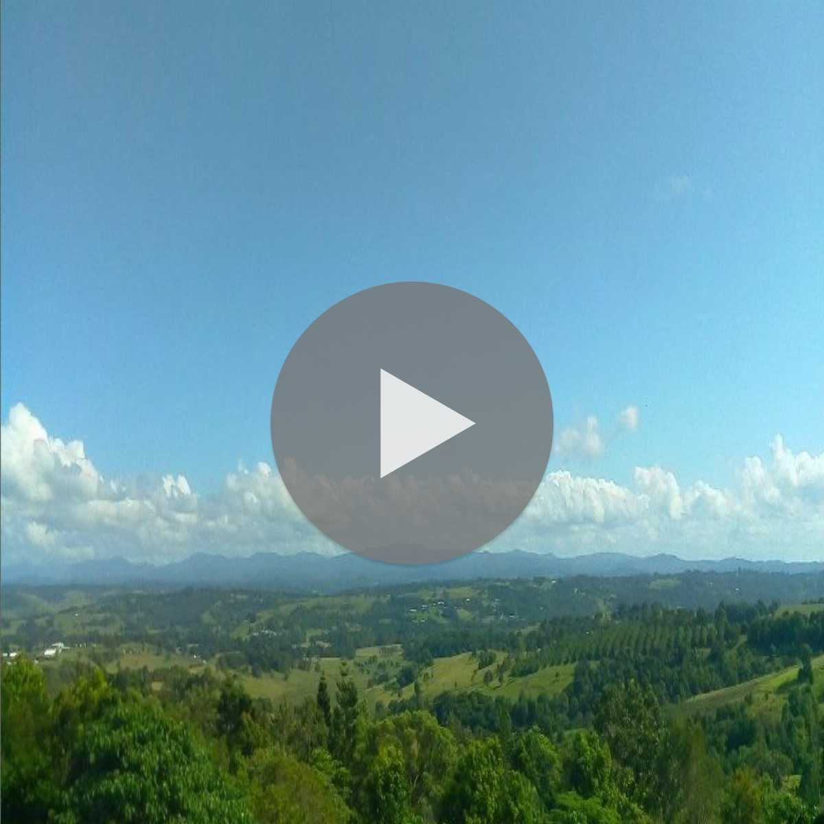 New South Wales webcam