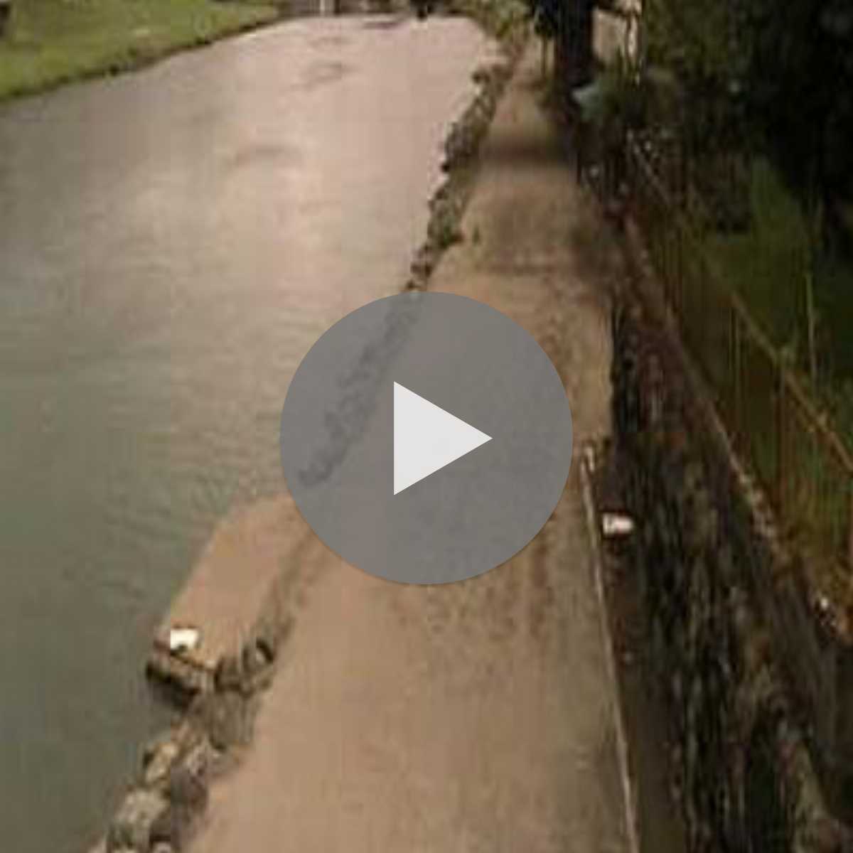 Oita Prefecture webcam