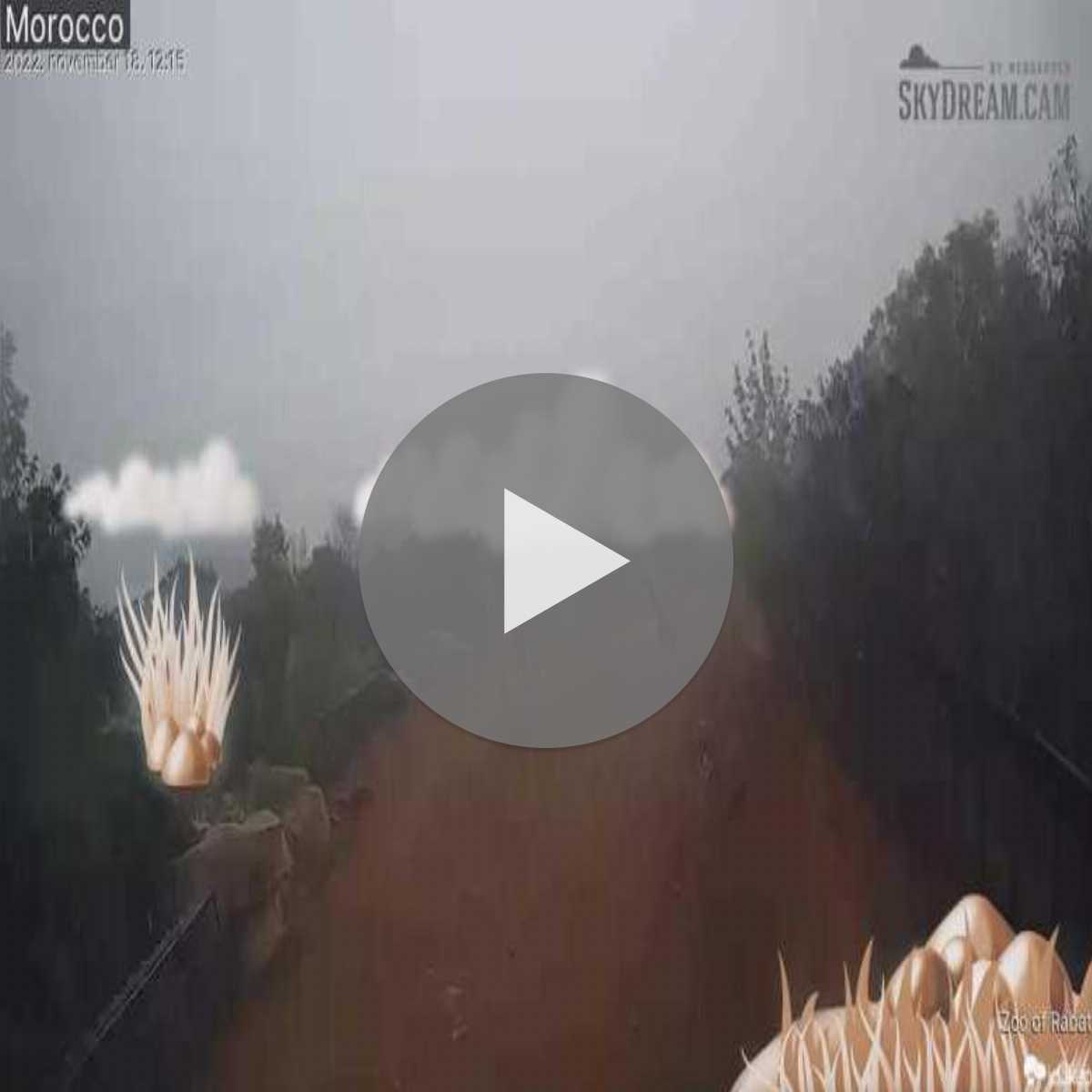 Rabat Sale Kenitra webcam