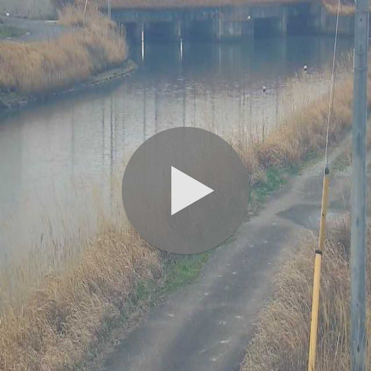 Shimane Prefecture webcam